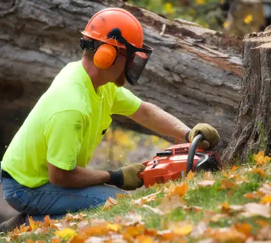 tree services Brooklyn